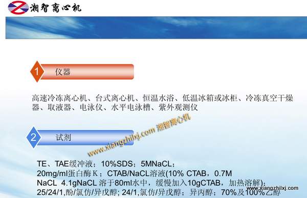 用高速離心機提取細菌DNA的課件