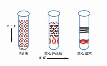 醫用離心機常用的離心方法